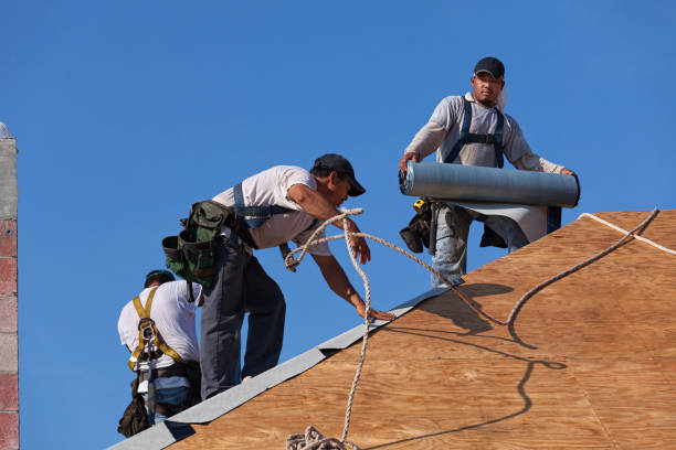 Best Metal Roofing Contractor  in Ridgeway, VA