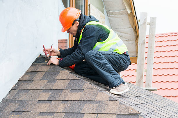 Best Roof Gutter Cleaning  in Ridgeway, VA