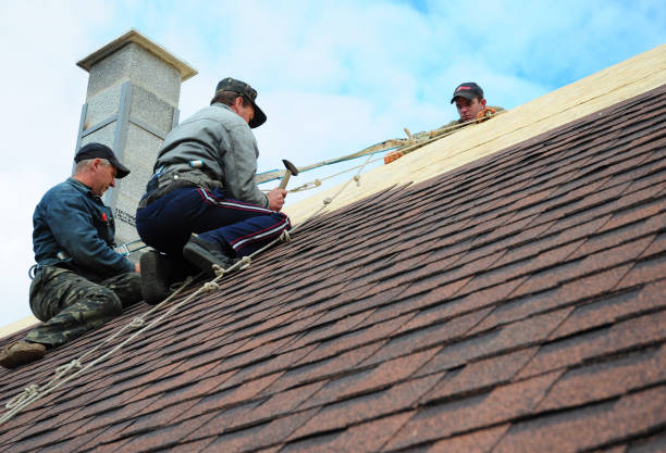 Best Gutter Installation and Roofing  in Ridgeway, VA