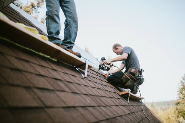 Best Roof Maintenance Services  in Ridgeway, VA