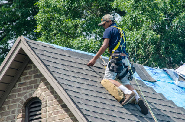 Best New Roof Installation  in Ridgeway, VA